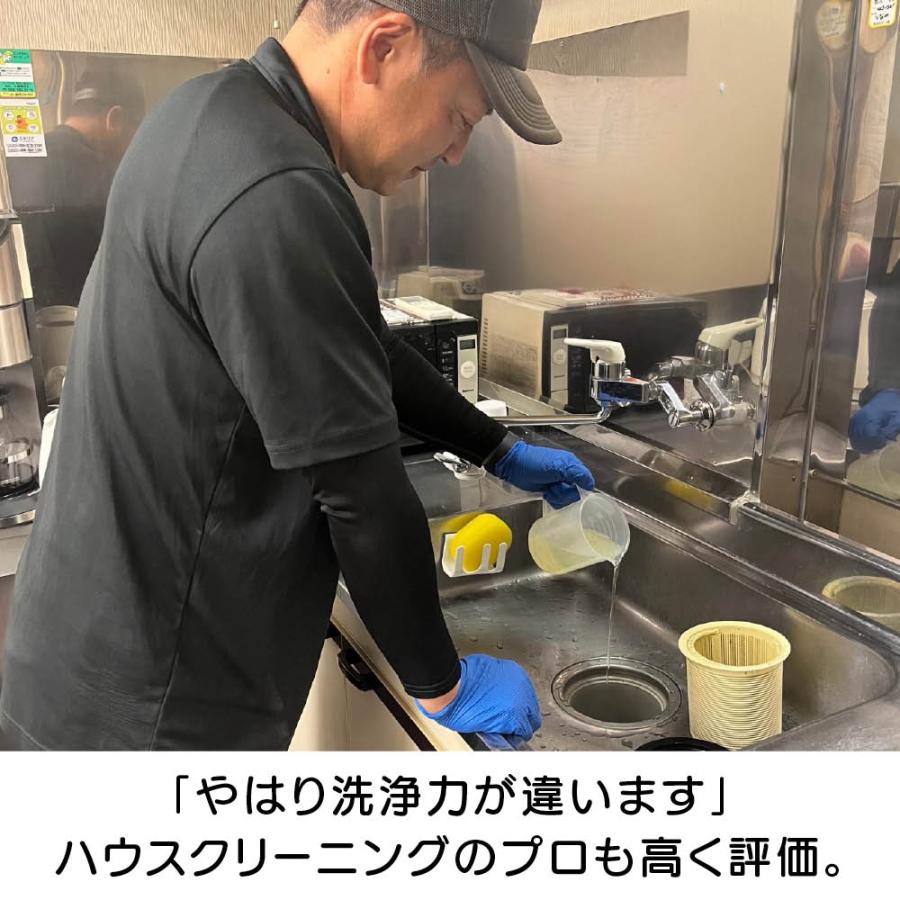 業務用 強力パイプ洗浄剤 「ピカットロンプロ」 4L 掃除 お手入れ用品 651403 ディノス_13