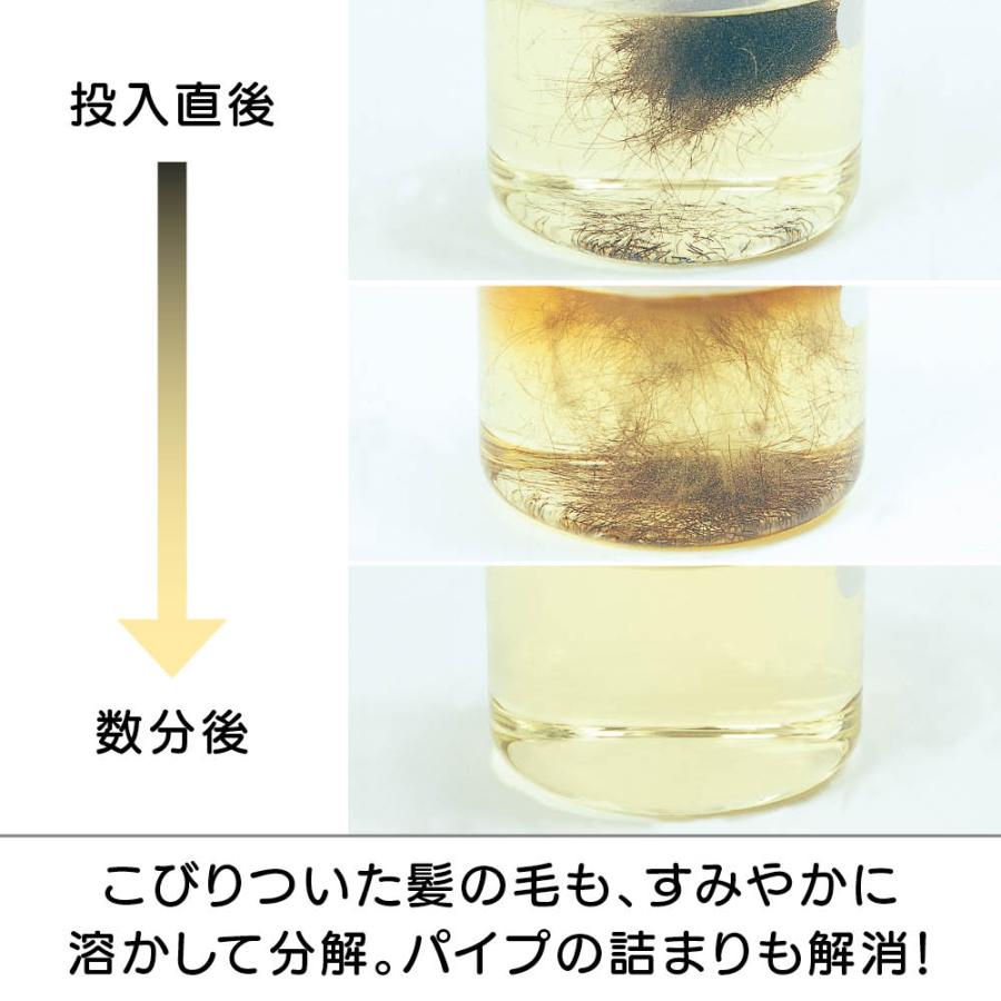 業務用 強力パイプ洗浄剤 「ピカットロンプロ」 4L 掃除 お手入れ用品 651403 ディノス_15