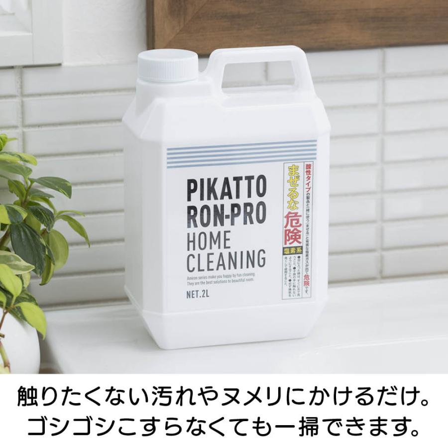 dinos（ディノス） 排水口 カビ取り 洗濯槽 キッチン 業務用 強力