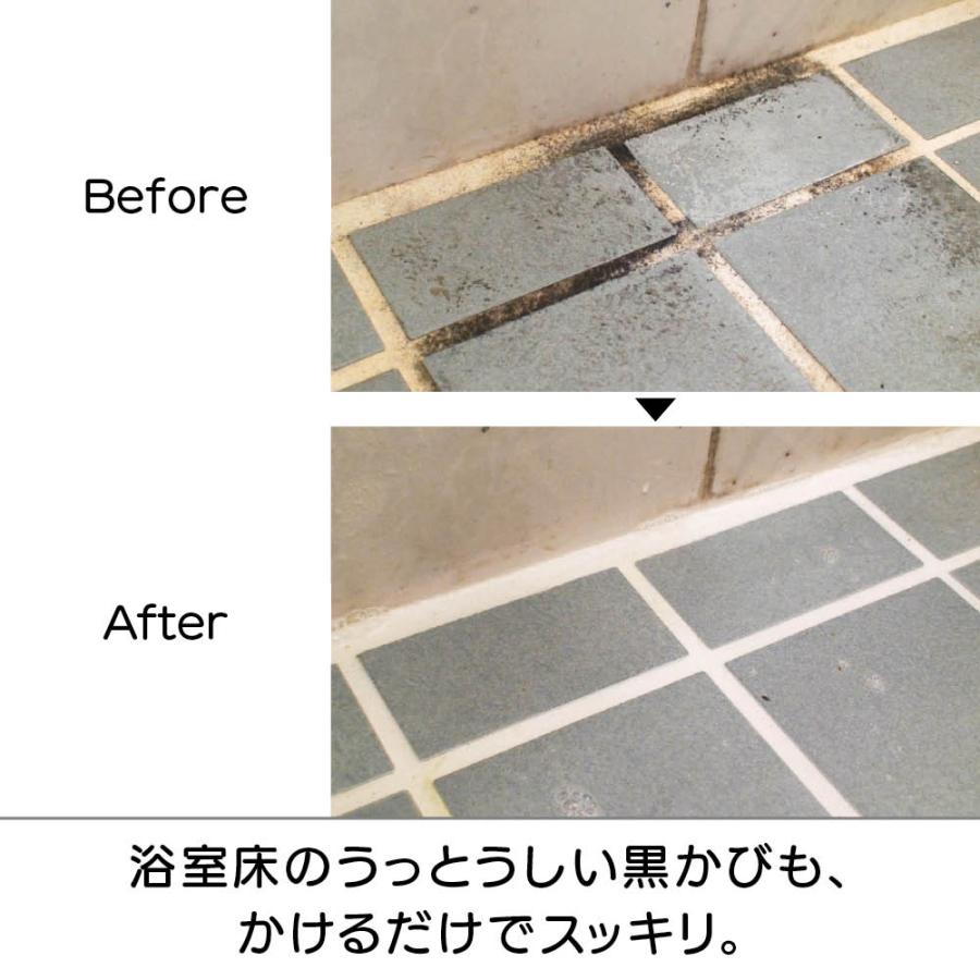 業務用 強力パイプ洗浄剤 「ピカットロンプロ」 4L 掃除 お手入れ用品 651403 ディノス_6