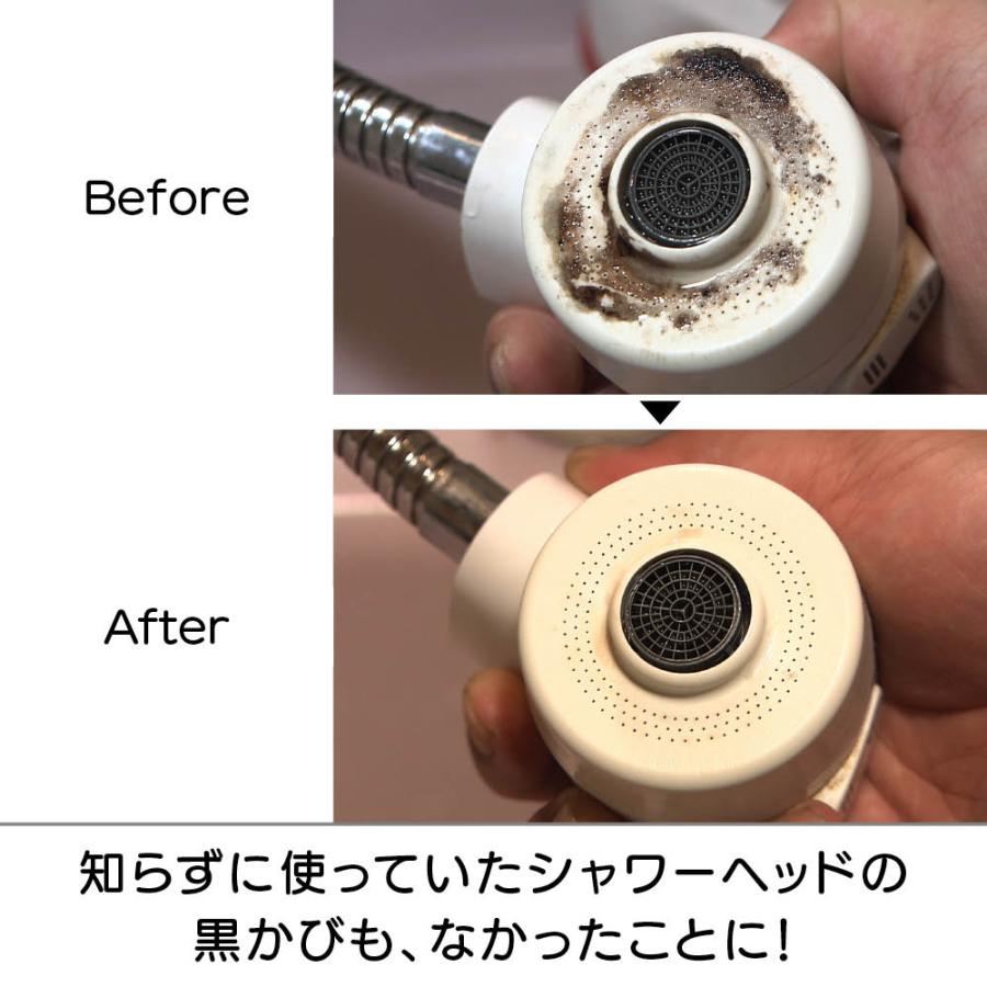 業務用 強力パイプ洗浄剤 「ピカットロンプロ」 4L 掃除 お手入れ用品 651403 ディノス_9
