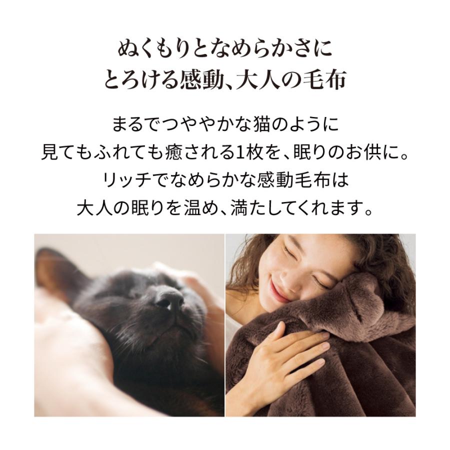 西川（nishikawa） とろける感動 大人の毛布ウォームアルファ 掛け毛布