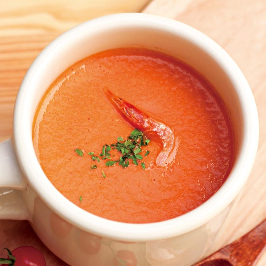 バイタミックスE310メーカー保証5年付き ディノス特別セット（本体1.4Lウェットコンテナ＋0.9Lドライコンテナ） キッチン家電 ミキサー ジューサー KR0262 | Vitamix | 02