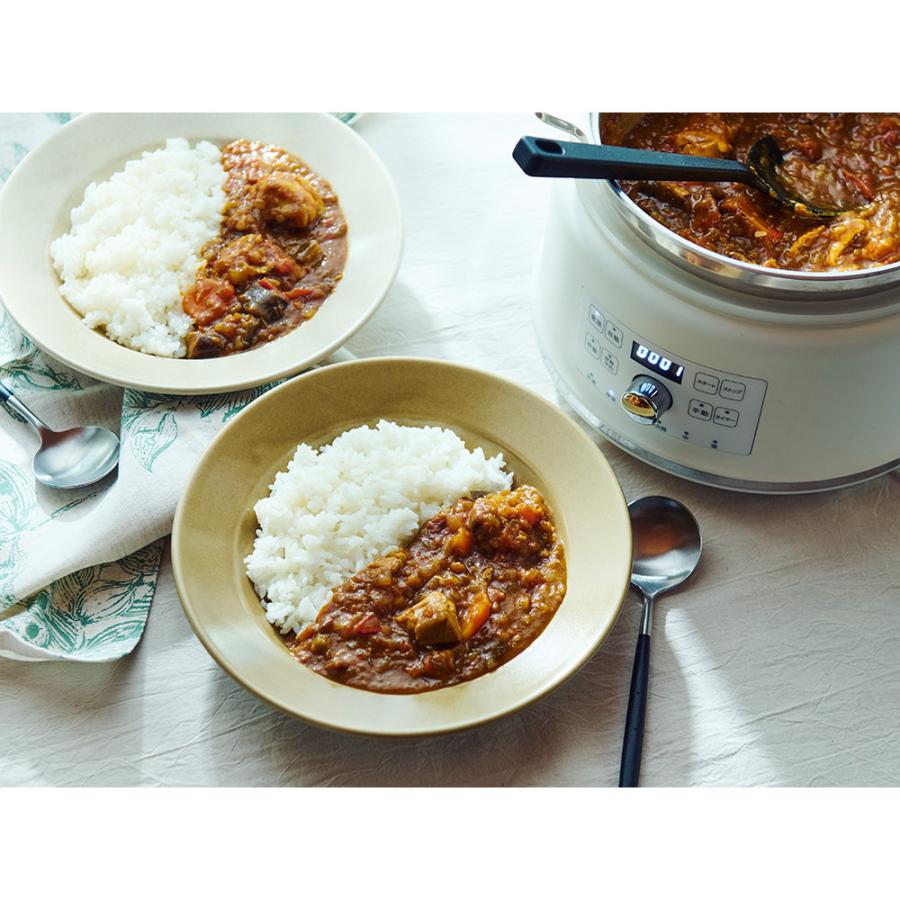 自動調理鍋ハルクック  「無水鍋（R）」（無水鍋20cm機械本体とのセット商品） キッチン家電 調理家電 LX5901 | dinos | 05