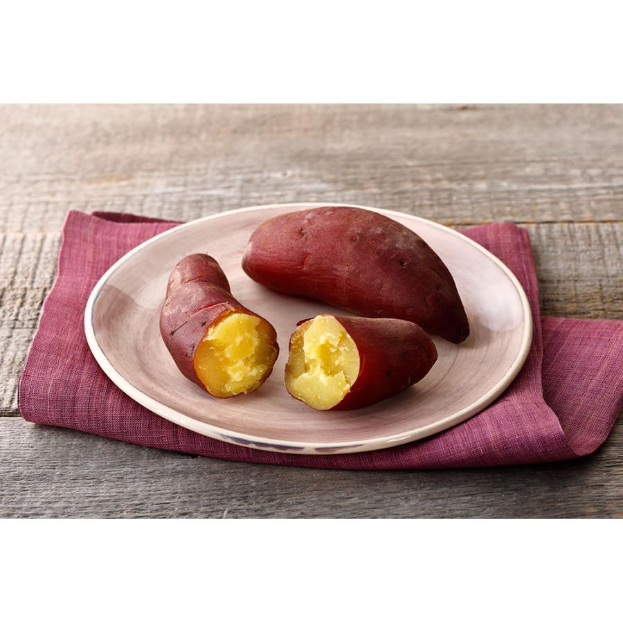 デリッシュキッチン 電気圧力鍋 スピードクック  キッチン家電 調理家電 616501 | dinos | 13