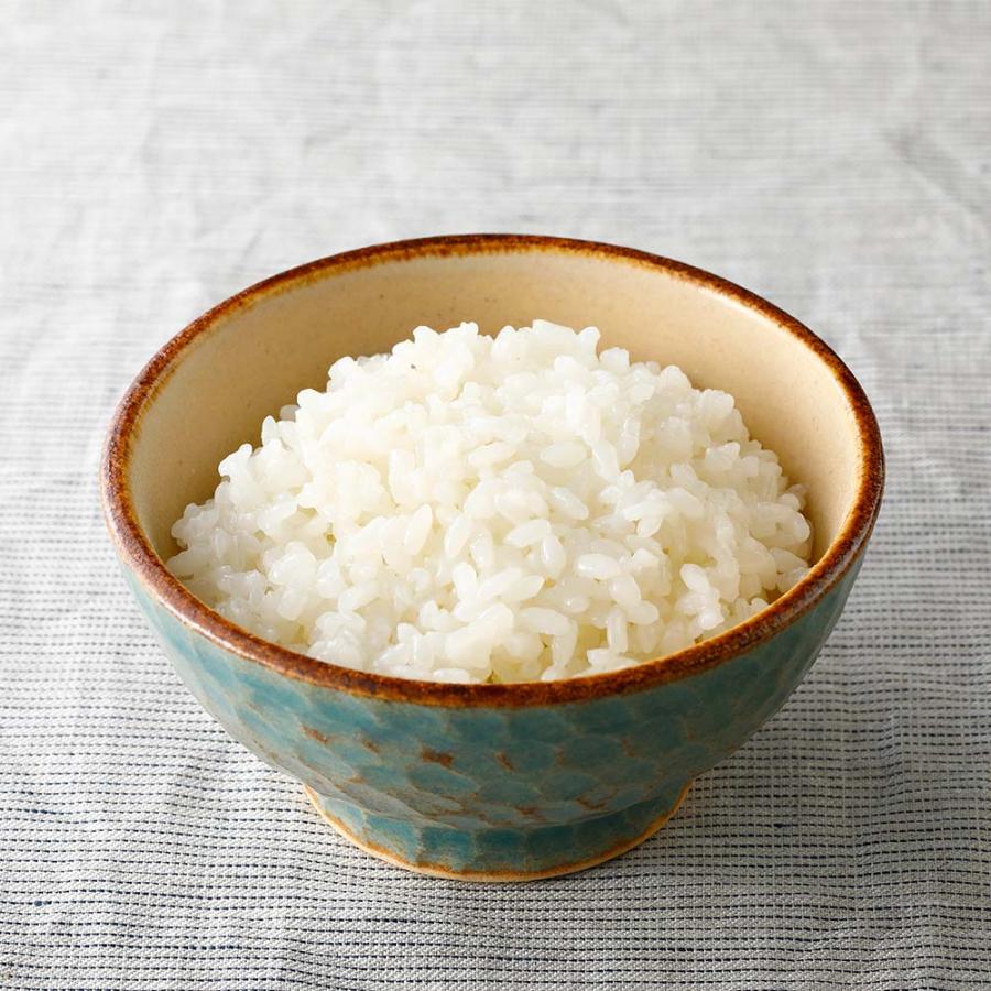 デリッシュキッチン 電気圧力鍋 スピードクック  キッチン家電 調理家電 616501 | dinos | 08