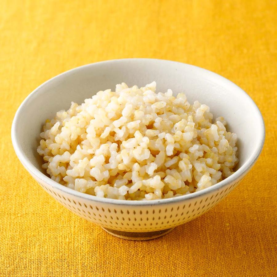 デリッシュキッチン 電気圧力鍋 スピードクック  キッチン家電 調理家電 616501 | dinos | 09