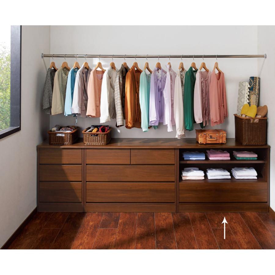 dinos（ディノス） ≪幅100奥行45高さ72cm≫ クローゼットスペースを