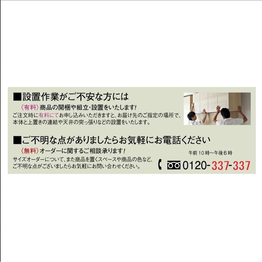 奥行44cm 生活感を隠すリビング壁面収納シリーズ 収納庫 段違い棚タイプ 幅60cm 壁面収納 システム収納 リビング壁面収納 631308 ディノス_8