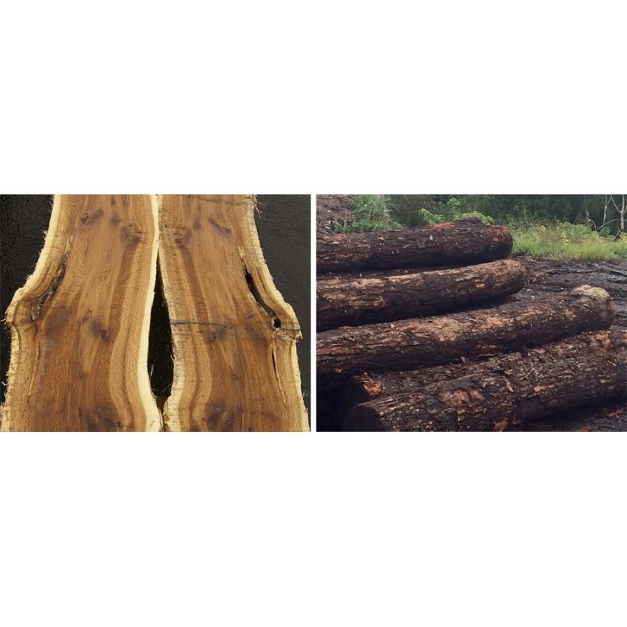 dinos（ディノス） 北欧カントリー風 ウッドデスクシリーズ デスク 幅