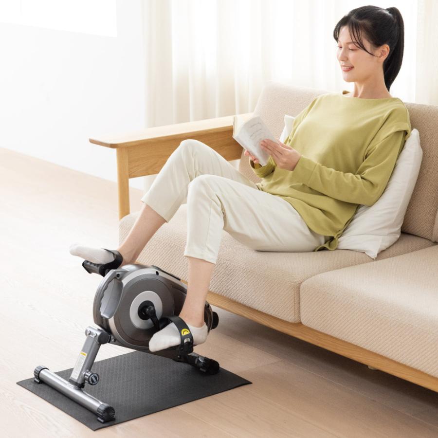 dinos（ディノス） エアロライフ スマートバイク エクササイズ