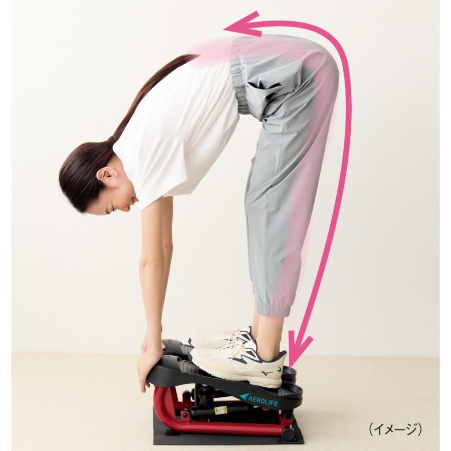 ステッパー　 Aero Life AEROLIFE/エアロライフ ストレッチステッパー 通販 - ディノス