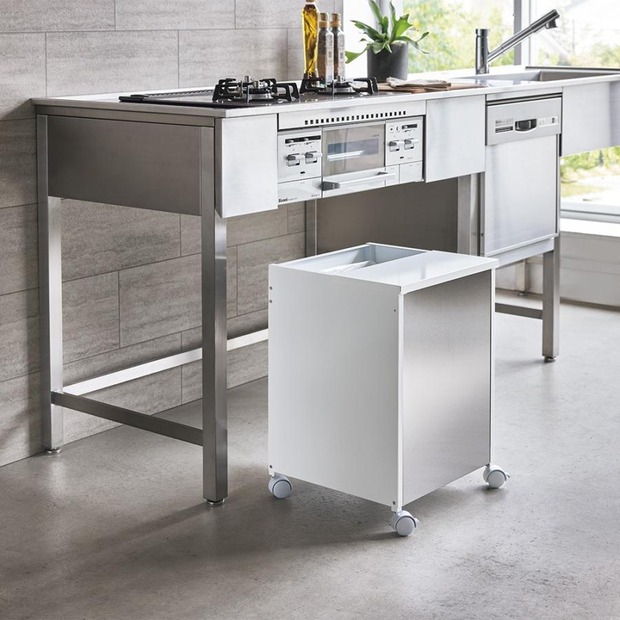 dinos（ディノス） 幅40cm 日本製 ゴミが見えにくいのに捨てやすい