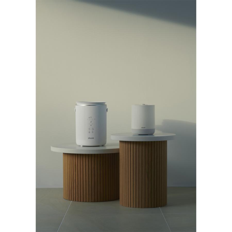 dinos（ディノス） DUUX（デュクス） スチーム式加湿器ミニ 季節家電