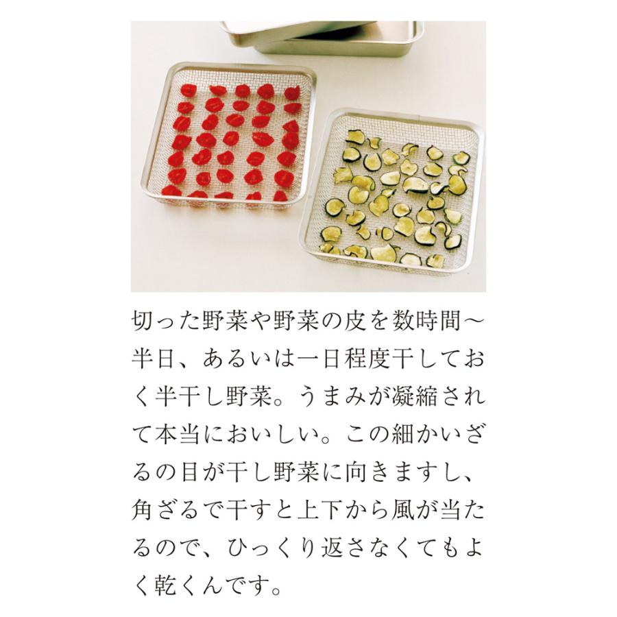 dinos（ディノス） ラバーゼ お得な角バット＋角ザル＋角プレート