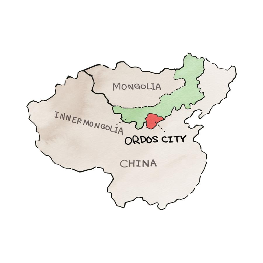 dinos（ディノス） カシミヤニット サイドライン インターシャ