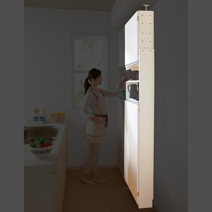 薄型で省スペースキッチン突っ張り収納庫 扉タイプ 幅45cm・奥行19cm 薄型で省スペースキッチン突っ張り収納庫 扉タイプ 幅45cm・奥行19cm