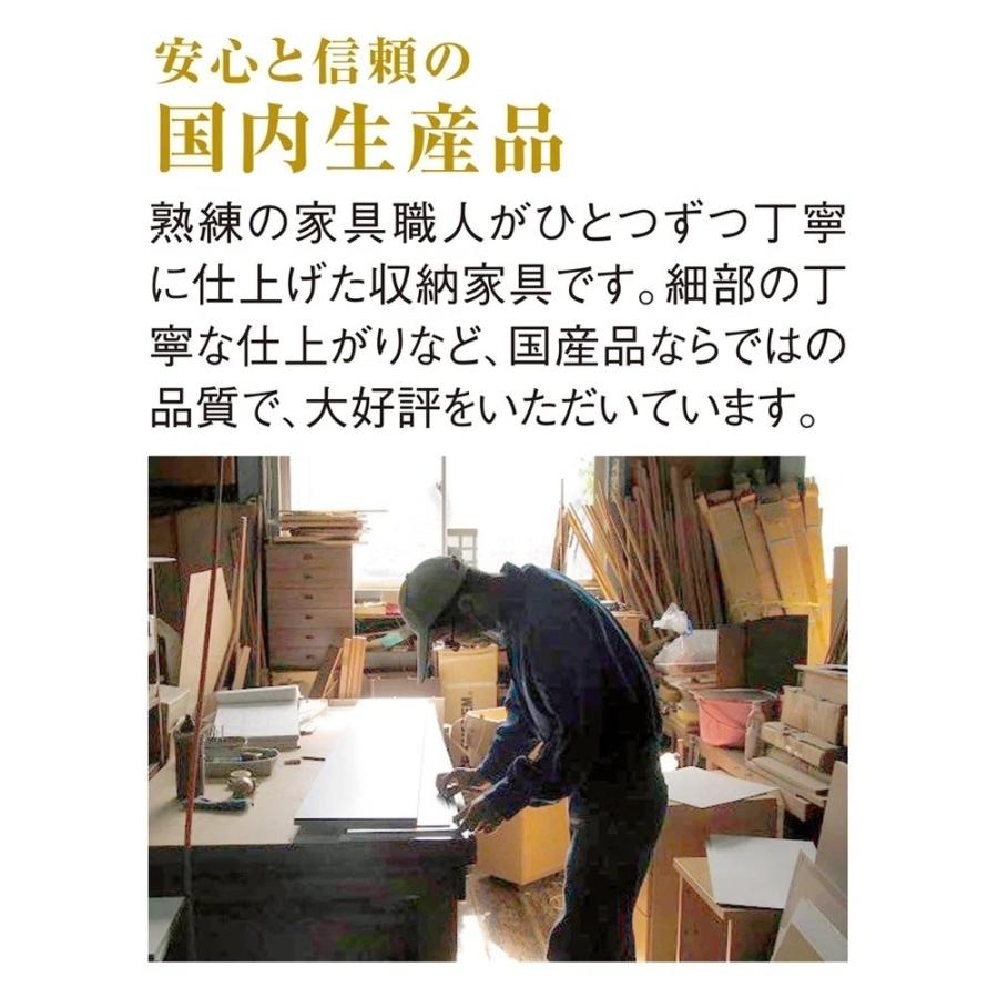 ストレートカウンター下収納庫 引き出し 幅45 奥行30cmタイプ リビング収納 リビング 629305の画像