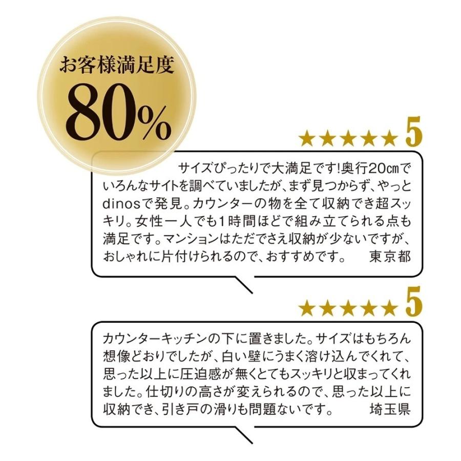ストレートカウンター下収納庫 引き出し 幅45 奥行30cmタイプ リビング収納 リビング 629305の画像
