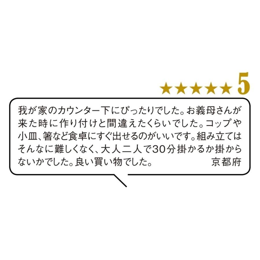 ストレートカウンター下収納庫 引き出し 幅45 奥行30cmタイプ リビング収納 リビング 629305の画像