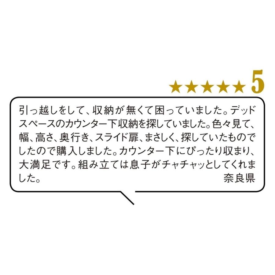 ストレートカウンター下収納庫 引き出し 幅45 奥行30cmタイプ リビング収納 リビング 629305の画像