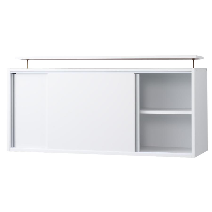 dinos（ディノス） 光沢仕様 引き戸壁面収納本棚 幅120奥行40突っ張り