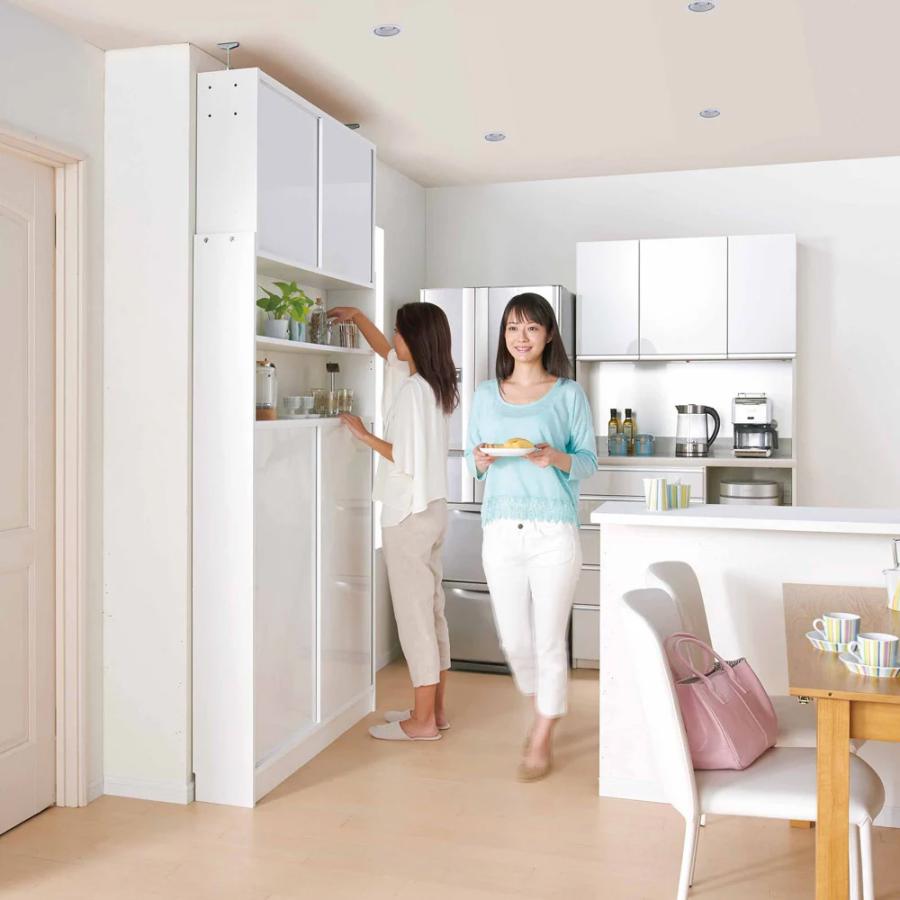 dinos（ディノス） 狭いキッチンでも置ける突っ張り式 薄型引き戸