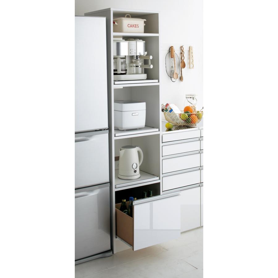 dinos（ディノス） 奥行スリム 幅が選べる 省スペース家電収納庫 幅