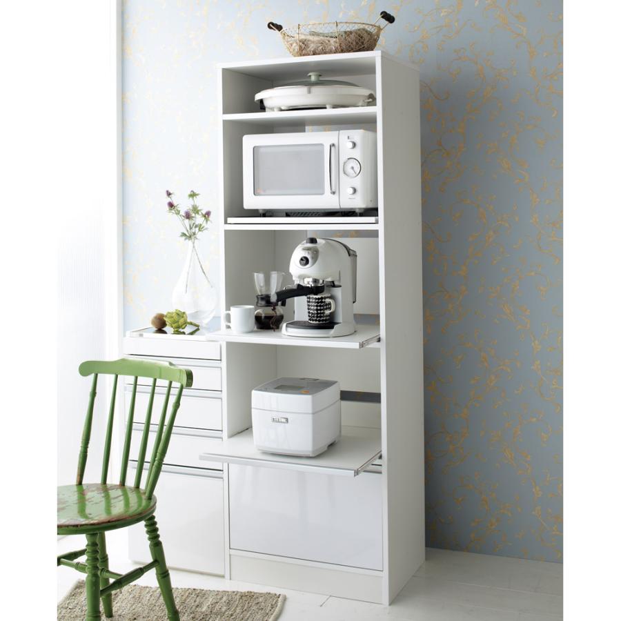 dinos（ディノス） 奥行スリム 幅が選べる 省スペース家電収納庫 幅