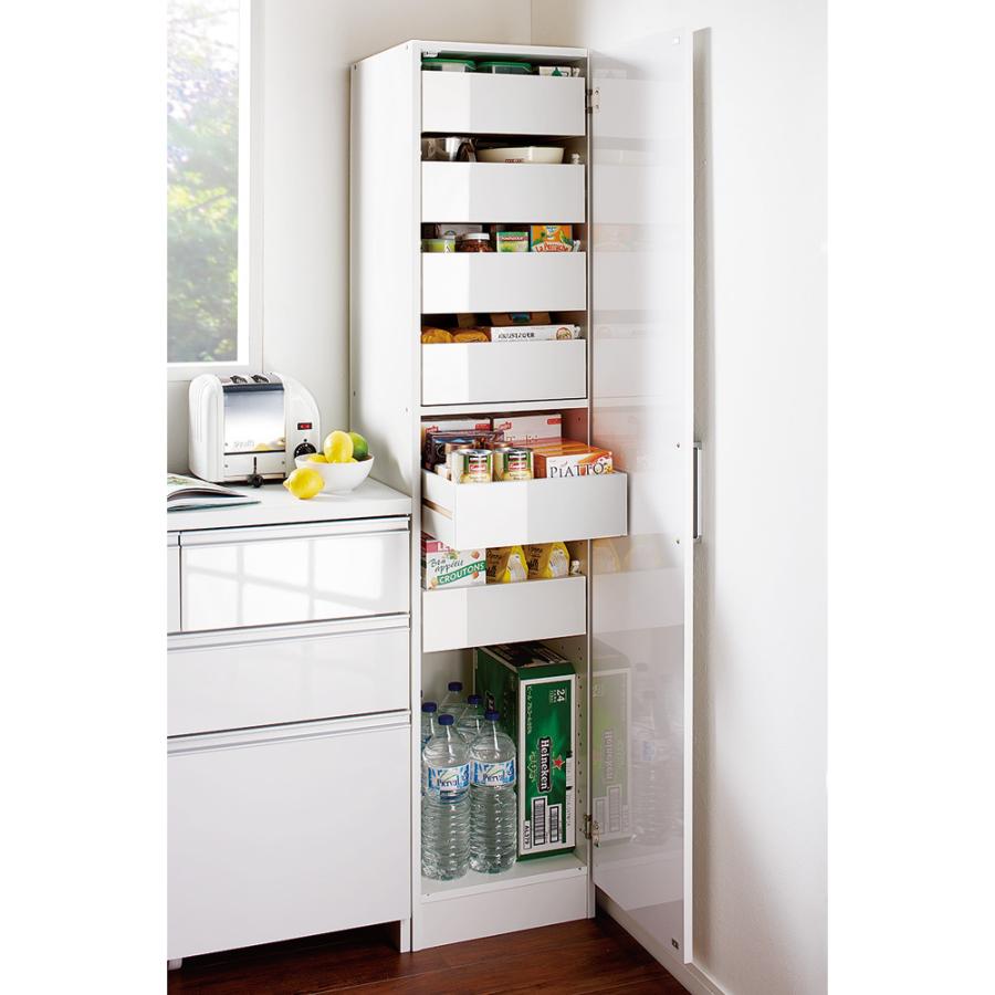 家具 収納 キッチン収納 食器棚 キッチンストッカー 食品ストッカー スライドトレー式キッチンストッカー 幅40 5697 ディノス Paypayモール店 通販 Paypayモール