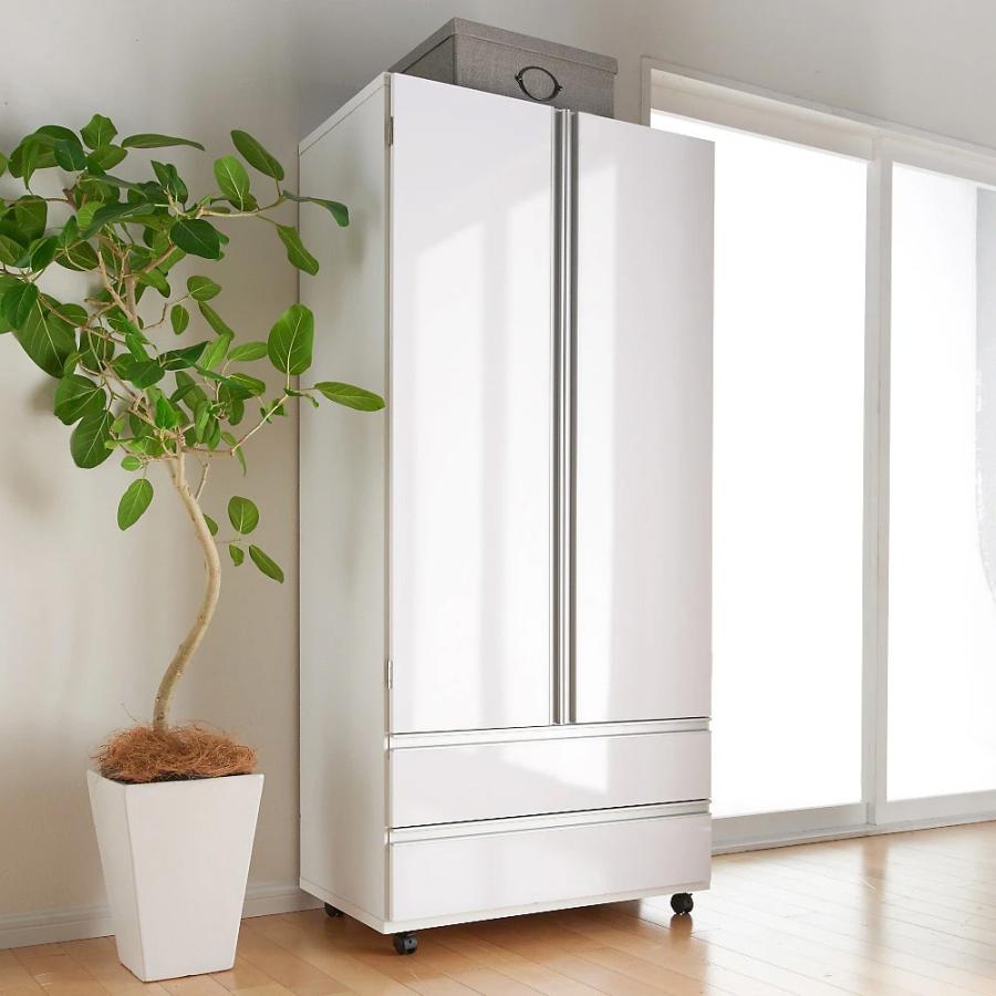 dinos（ディノス） 1台でスッキリハンガーラック 扉付き・幅75cm 衣類