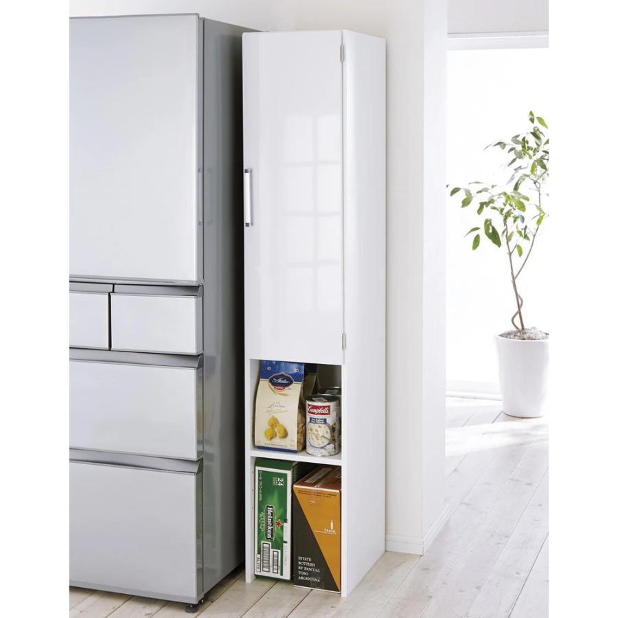 dinos ［幅25奥行47.5cm］ 下段オープンすき間収納庫 日本製 【ゴミ箱