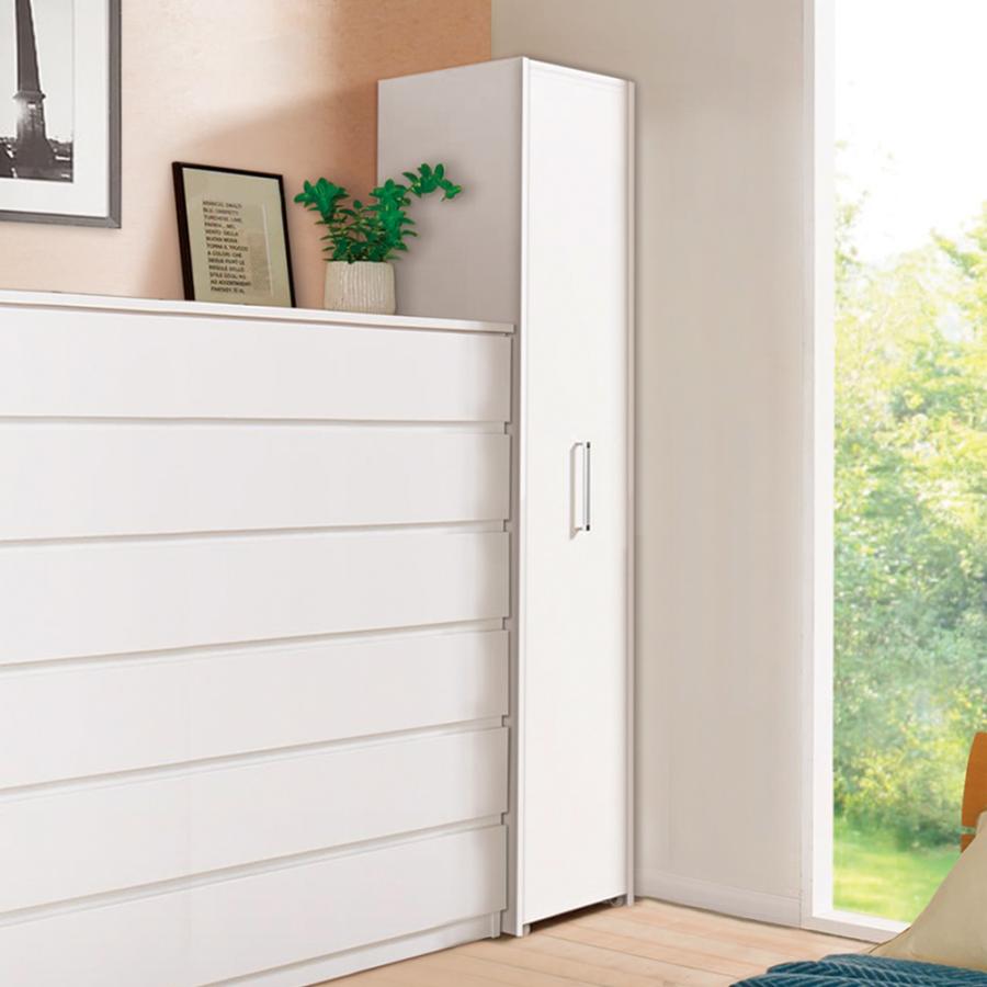 dinos（ディノス） 薄型で隠せる収納 衣類収納ロッカー 棚タイプ 衣類