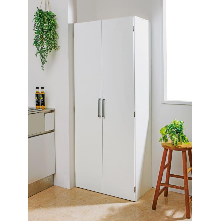 dinos（ディノス） 総耐荷重約75kg！食器からストックまで入るキッチン