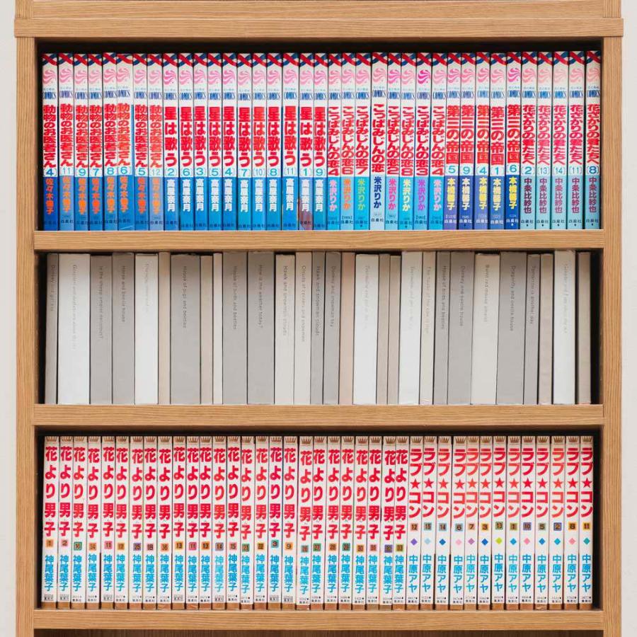 dinos（ディノス） 細かな棚調節で効率収納できる スマート薄型本棚