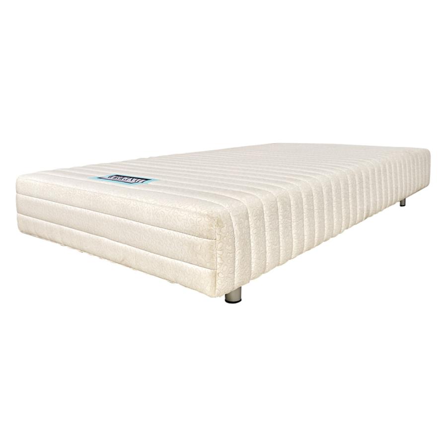 dinos（ディノス） 【ハイタイプ・脚高25高さ47.5cm】France Bed