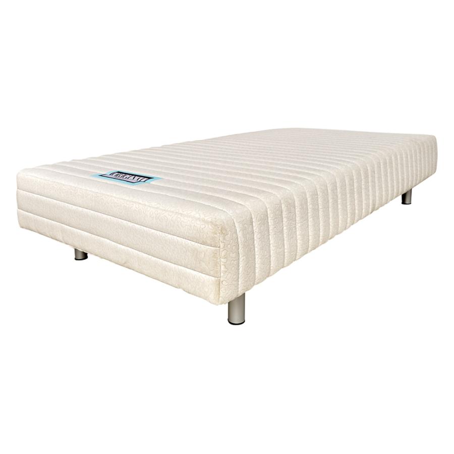 dinos（ディノス） 【ハイタイプ・脚高25高さ47.5cm】France Bed 
