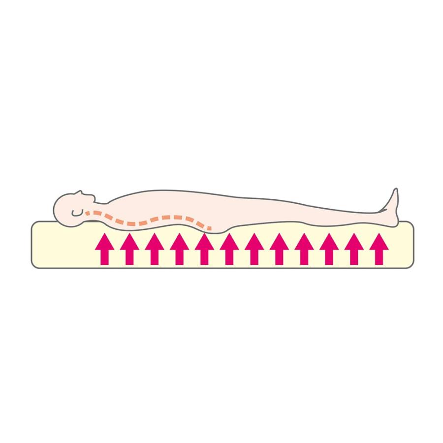 ≪セミダブル≫France Bed/フランス ベッド LED照明マットレス付ベッド ベッド 木製ベッド H95223_15
