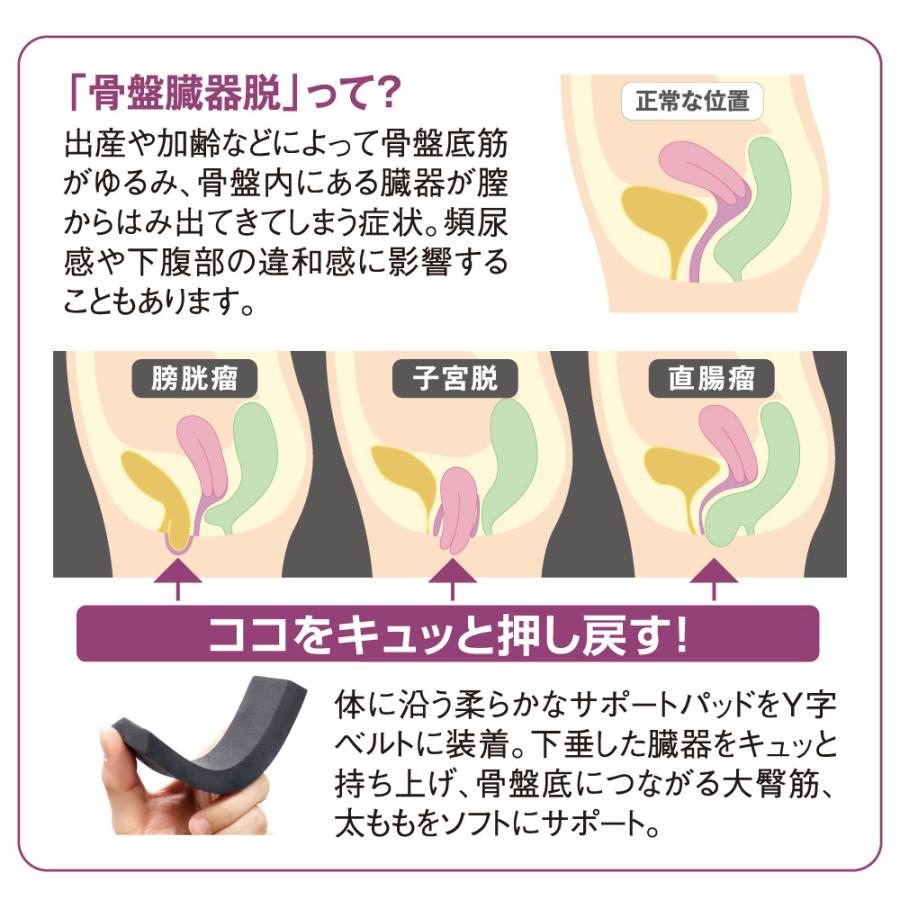 骨盤臓器脱サポーター マッサージ 健康グッズ 健康器具 サポーター コルセット M83703の画像