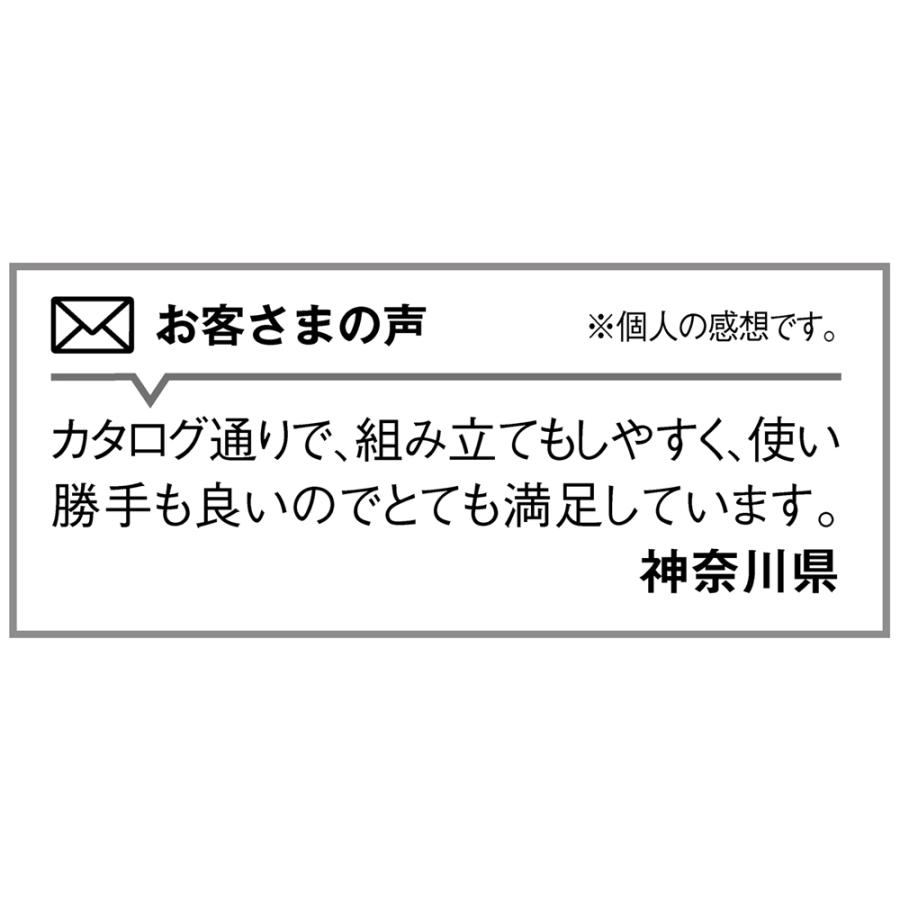 dinos（ディノス） 突っ張り式高さ調節シリーズ デスクラック 幅60cm