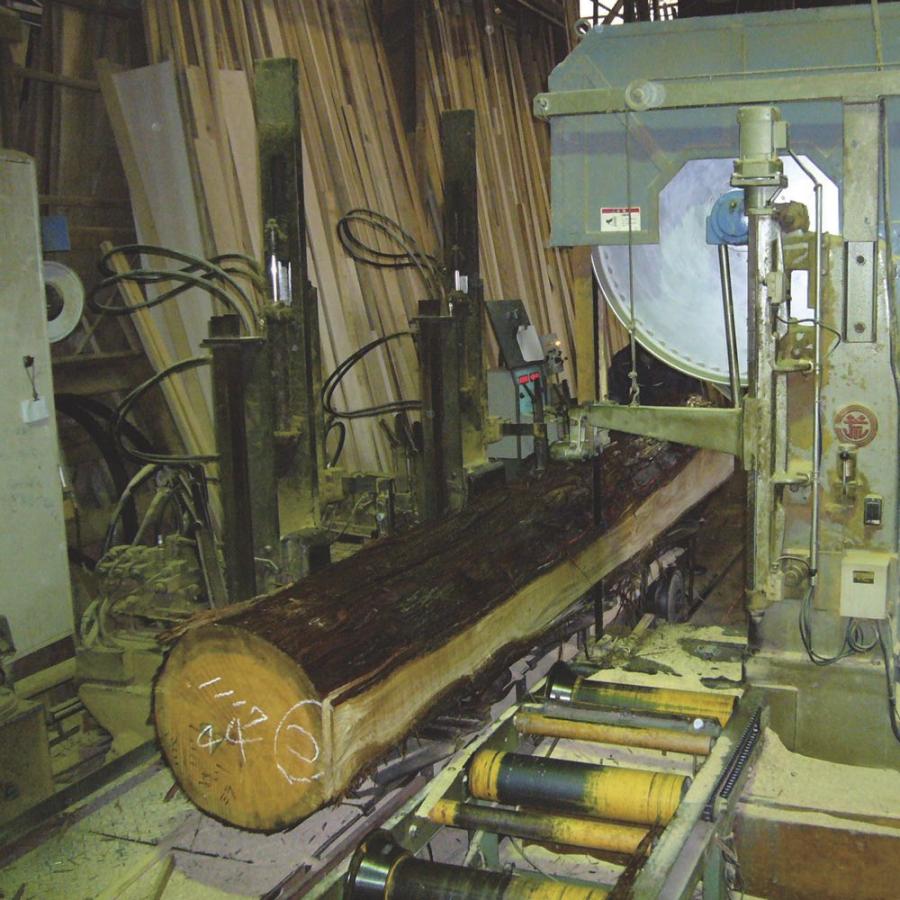 東濃ひのき　高さ調節すのこベット　シングル 東濃ひのき 高さ調節すのこベッド 長さ180cm（幅80cm/幅98cm） 通販