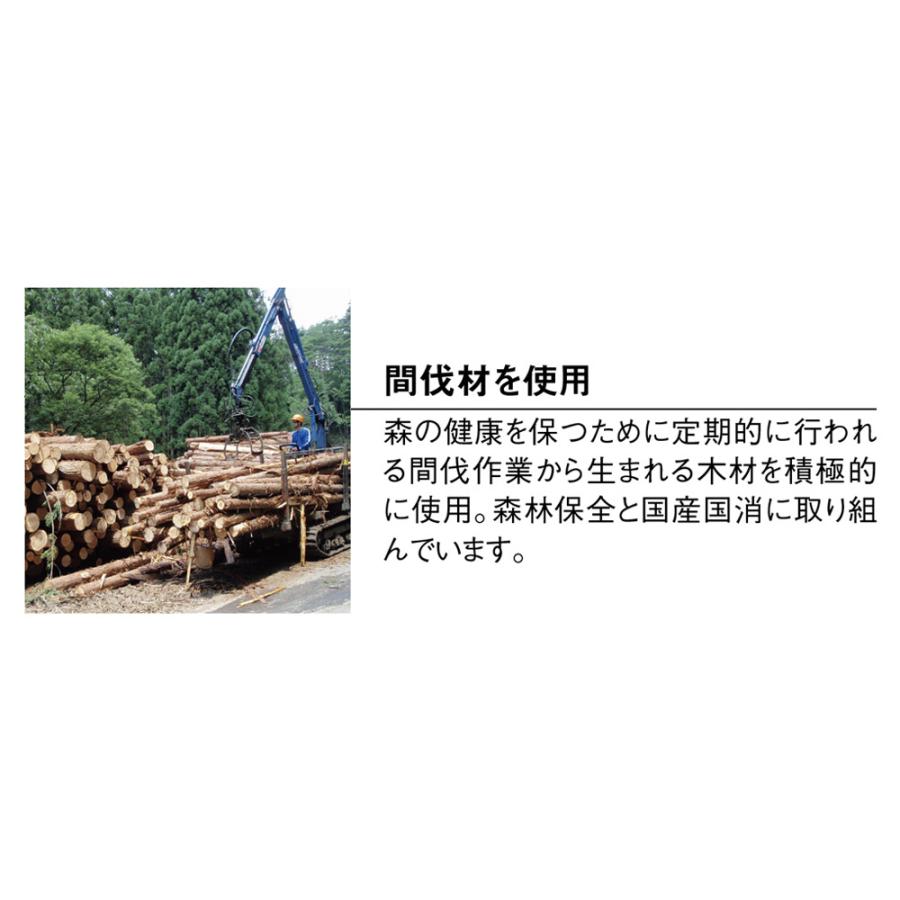 dinos（ディノス） 日本製東濃檜 大量収納が叶う国産頑丈突っ張り