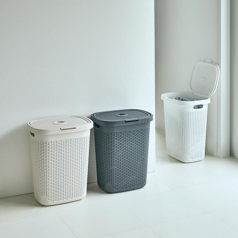 家具 収納 トイレ収納 洗面所収納 ランドリーボックス ランドリーバスケット 蓋付き 樹脂製 バスケット 50l ヨコ H ディノス Paypayモール店 通販 Paypayモール