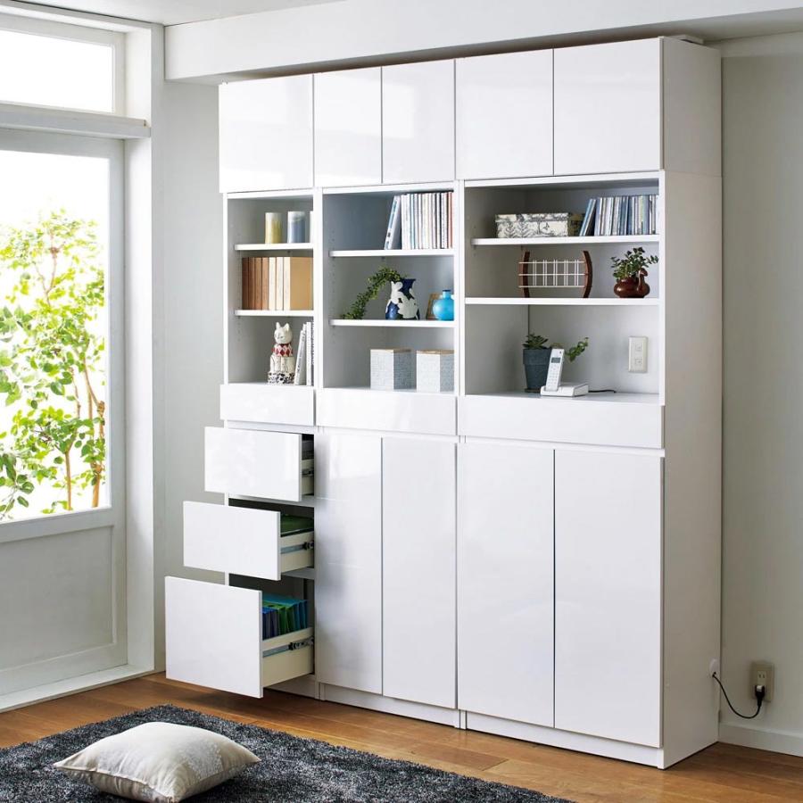 dinos（ディノス） スイッチ避け壁面収納シリーズ 収納庫タイプ（上台