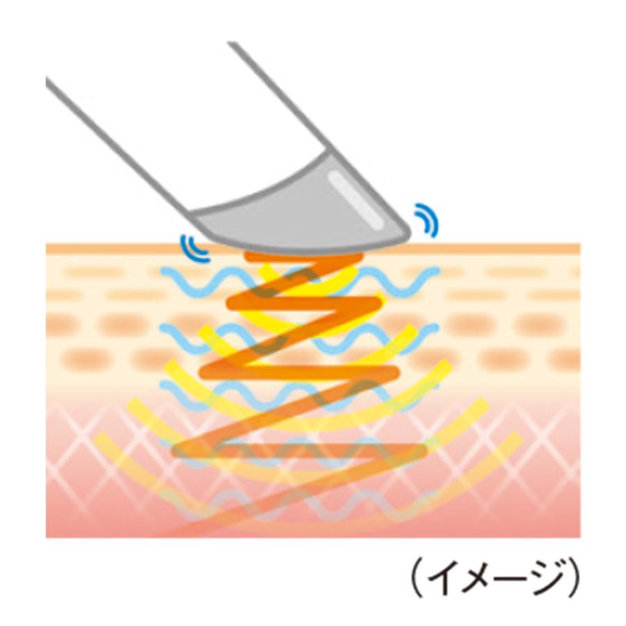 VERTEX STYLE フェイスケア 美顔器 ブランフィーネ ダブル VERTEX STYLE フェイスケア 美顔器 ブランフィーネ ダブル