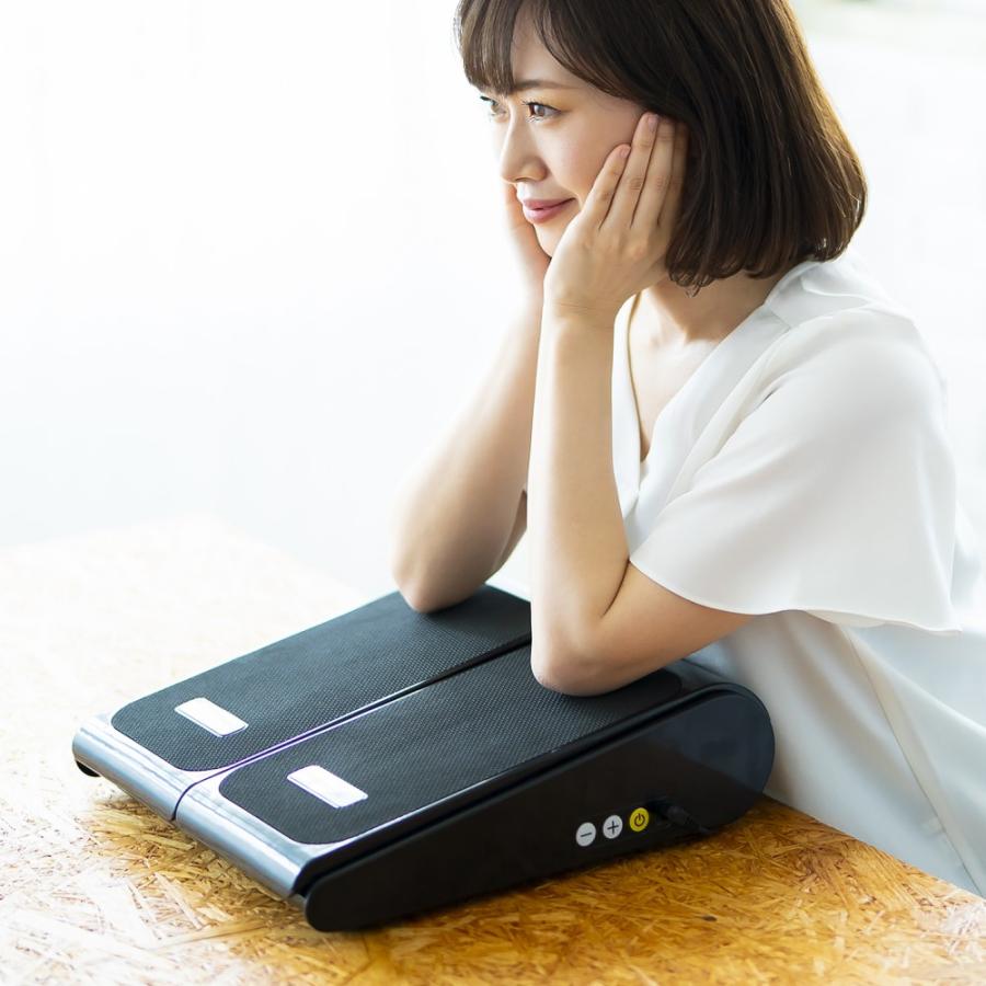 dinos（ディノス） ぶるぶるビート マッサージ 健康グッズ 健康器具