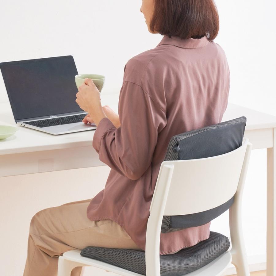 新登場 カーテン 敷物 ソファカバー クッション カバー類 椅子クッション 家具 収納 イス チェア 産学共同研究から生まれた 美姿勢サポートクッション2個セット Cisama Sc Gov Br