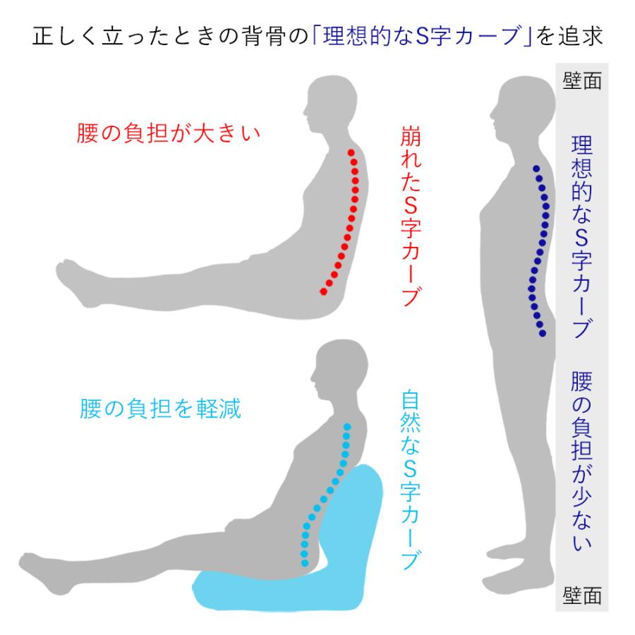 イス チェア 座椅子 日本製洗えるカバー付き背中を支えるコンパクト美姿勢座椅子 775319｜dinos｜05