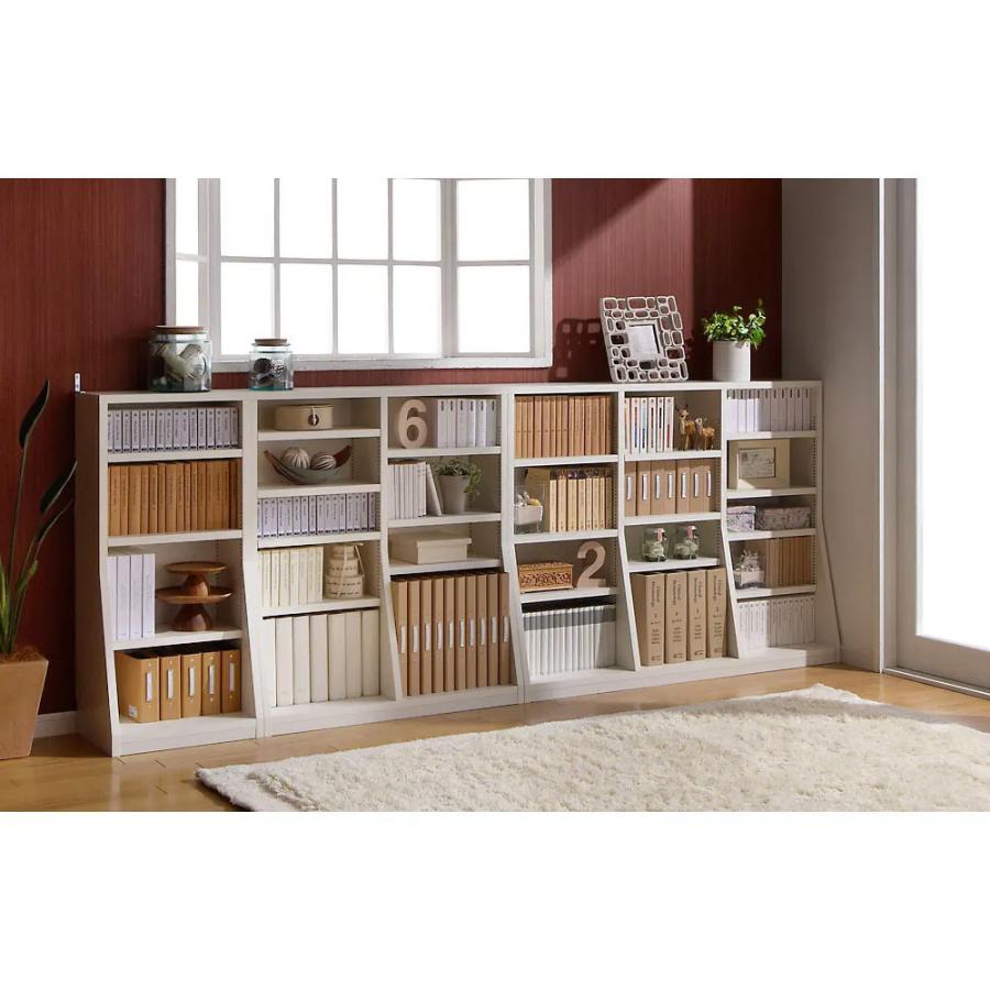 dinos（ディノス） 組立不要 1cmピッチ 薄型窓下収納ラック 幅116cm