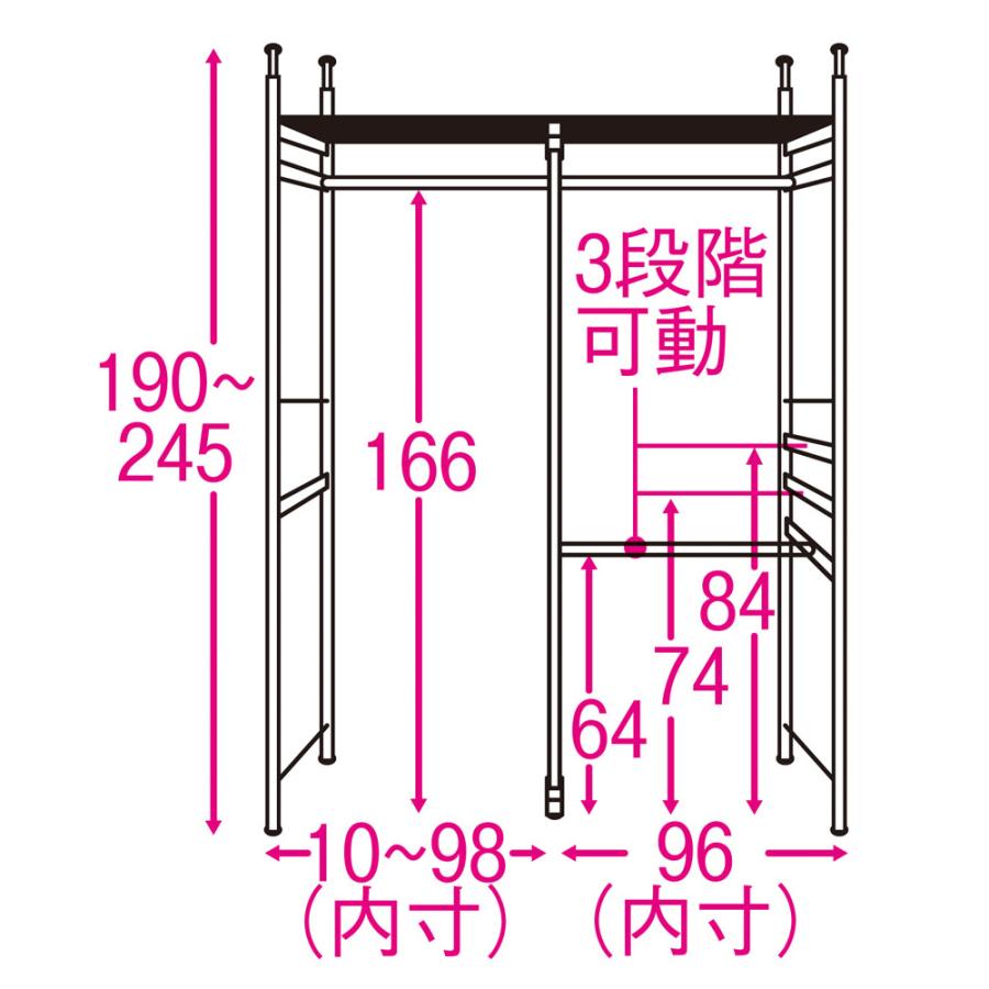 dinos（ディノス） 奥行30cm 光沢ブラッククローゼットハンガーラック